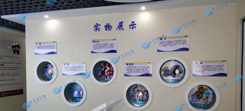 建設多媒體禁毒教育基地，提高青少年自覺抵御毒品的能力-七全七美